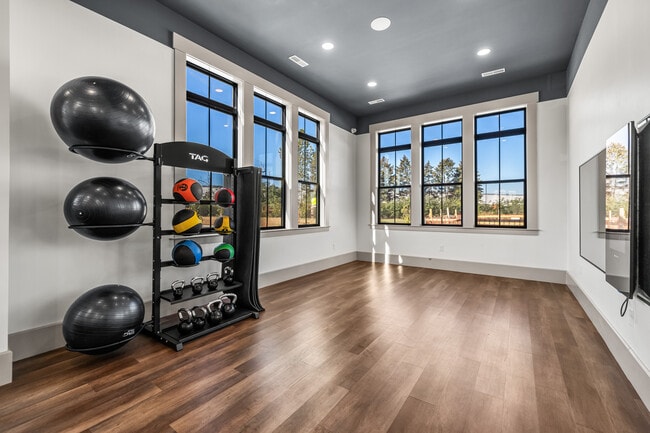 Cambria Phase 1