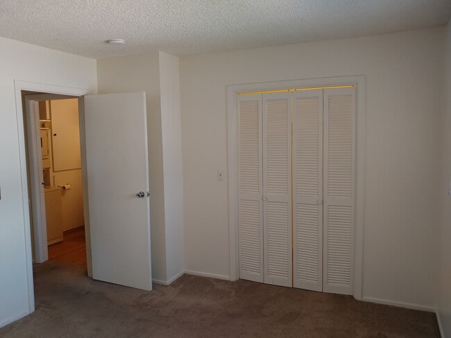 Spacious primary bedroom... - 1379 Dorothy Ave