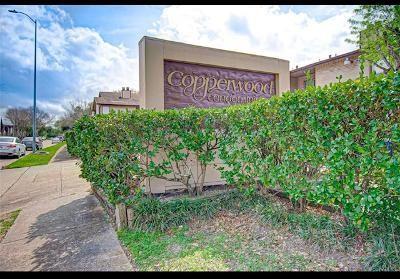 Photo - 9223 Imogene St Unidad 9223 Rental