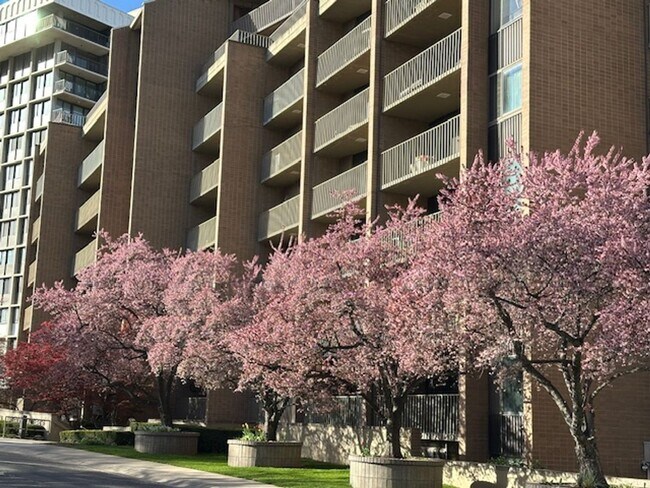 245 N Vine St Unit 901