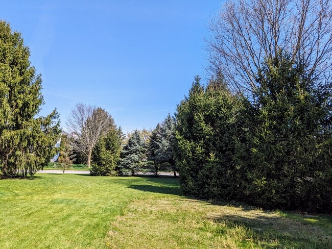 Patio trasero mirando hacia afuera - 9503 Wayne Brown Dr