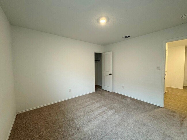 Photo - 109 Little Sparklers Lp