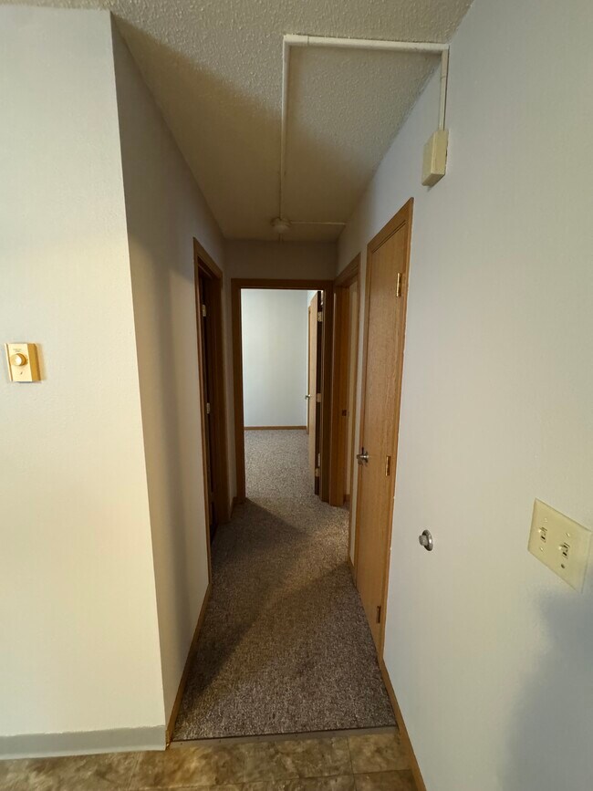 Hallway to bathroom and bedrooms - 1511 S Grand Plaza Dr Unit D