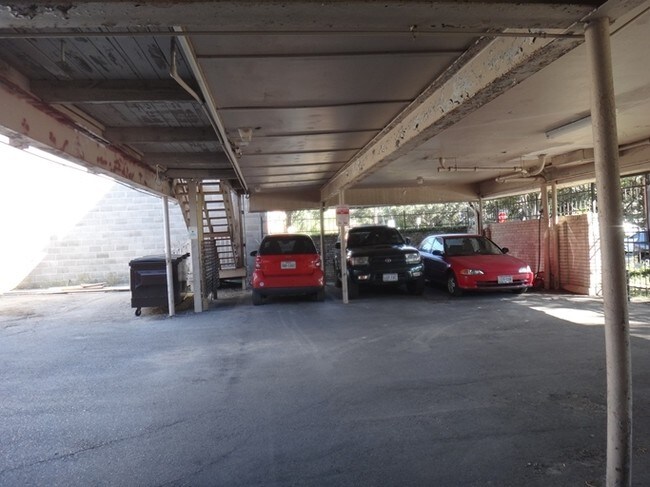 Photo - Sulross Garden