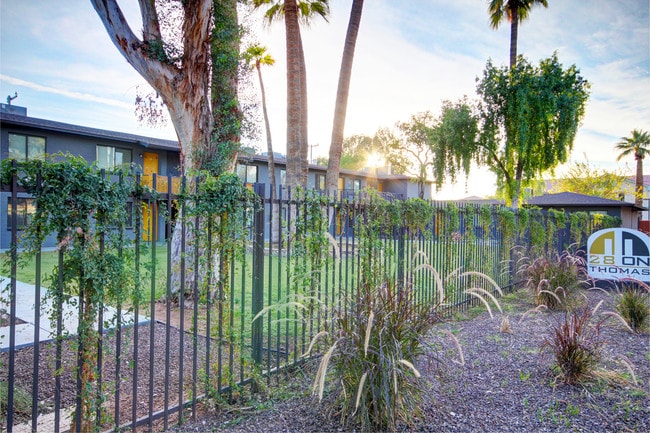 28 on Thomas - 28 on Thomas