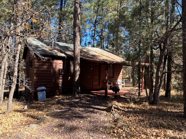 Photo - 237 E White Mountain Blvd