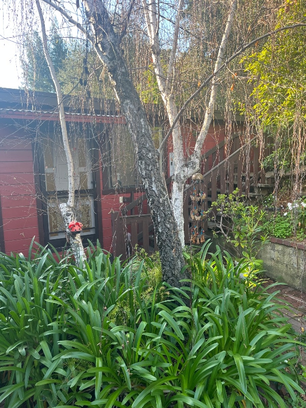 Photo - 2091 Sierra Way