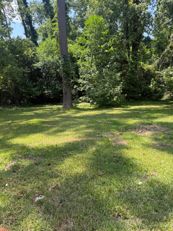 Photo - 4329 Brookridge Dr