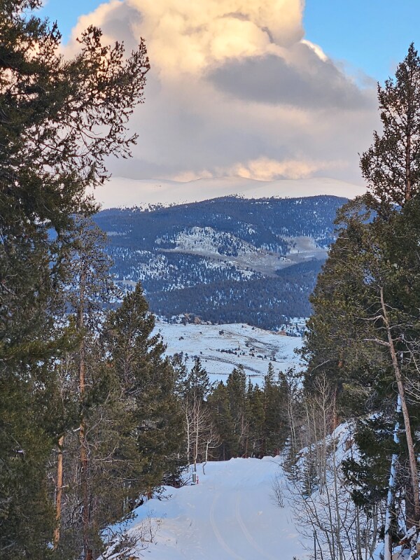 Photo - 202 Pan Ark Dr Unidad 2