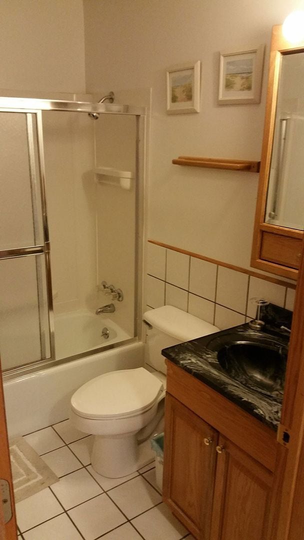 Photo - Partially Furnished 2-bedroom, 1 bathroom ...