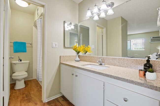 Bathroom with single vanity area