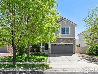 Pet Friendly Houses For Rent In Loveland Co Forrent Com