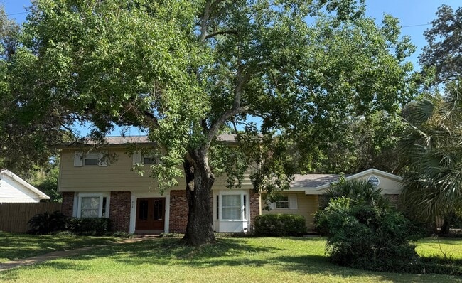 Photo - 905 Poinciana Dr