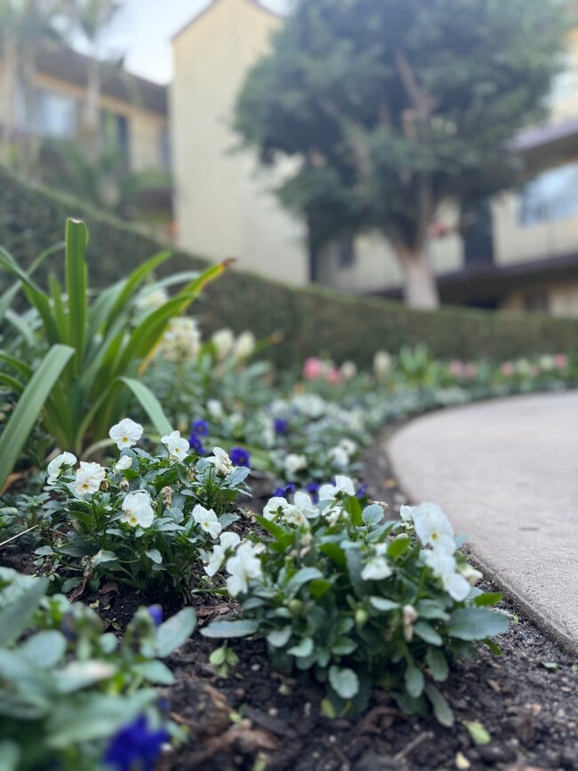 Exterior de la propiedad - Patio