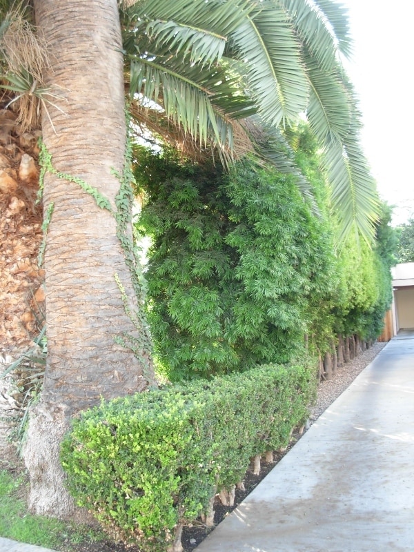 Photo - 1310 N Spurgeon St Unidad D