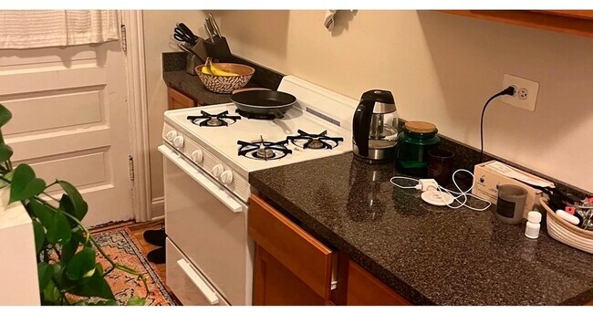 Photo - 3815 N Greenview Ave Unit 2E