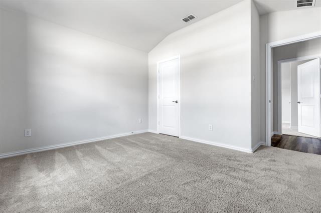 Photo - 6312 Spooky Cat Trl