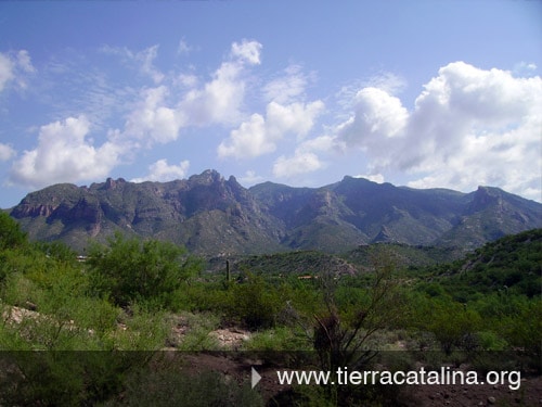 Photo - 6460 N Tierra de las Catalinas Unit Tierra Catalinas 116