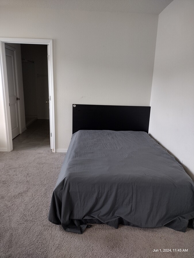 Photo - 10857 Trailing Vine Dr