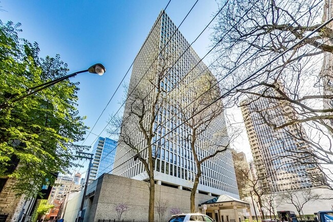 Building Photo - 1 E Scott St Unit 2106 Rental