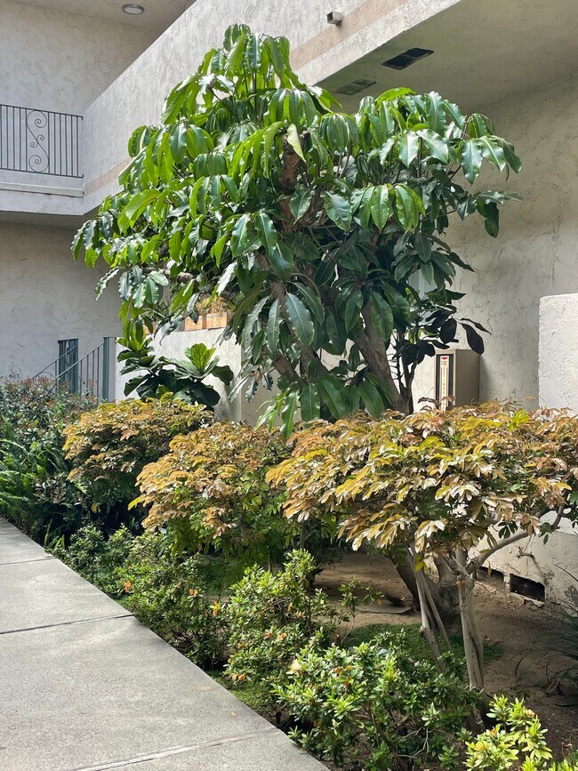 LUXURY LIVING AT AN AFFORDABLE PRICE