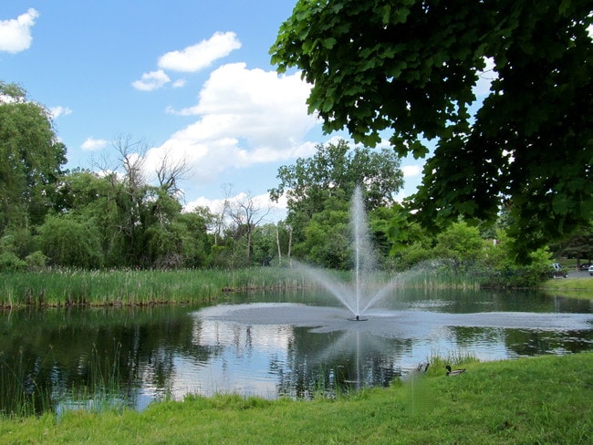 Photo - Pine Lake Apartments