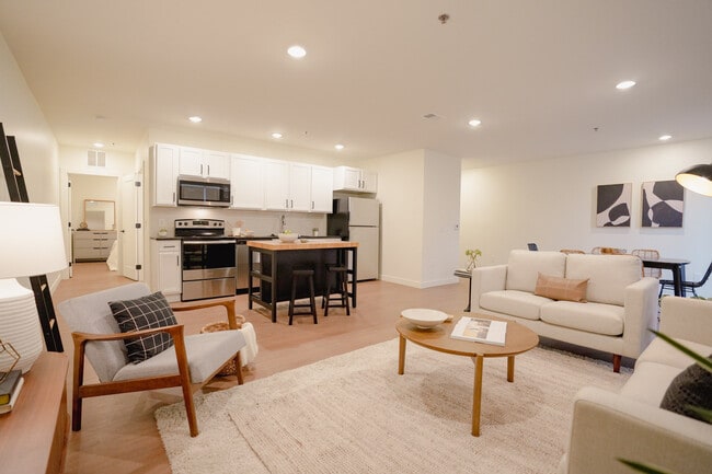 Open Concept Kitchen / Living / Dining