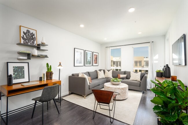 MV Apartments