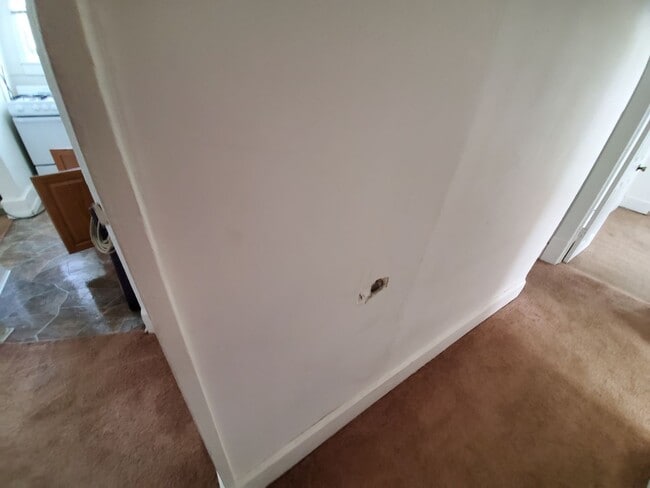 Photo - 2512 Walnut St Unit 2512-1