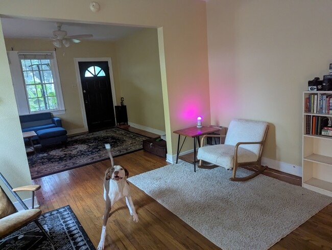 Photo - 620 Kenmore Ave Unit Pickle is not included