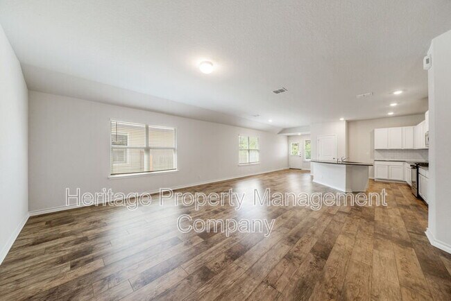 Photo - 15119 Longtailed Duck