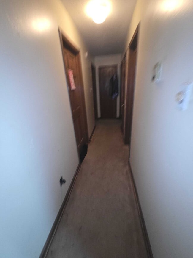 Photo - 5011 Ridge Tree Dr