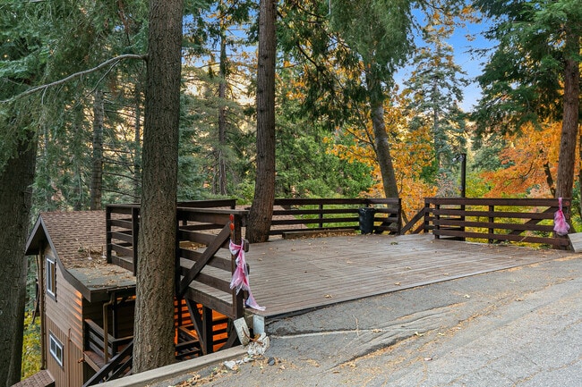 Photo - 729 Rhine Rd