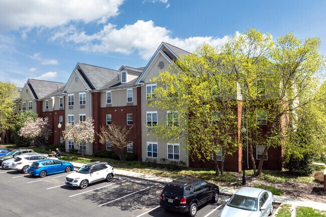 Primary Photo - Maple Shade Mews