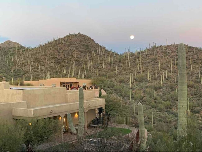 Photo - 3046 W Salvia Dr