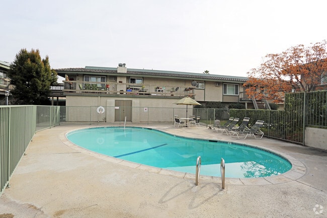 Photo - Robin Meadows