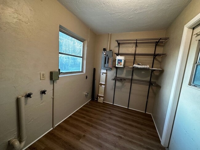 Photo - Beverly Hills Cutie 1/1