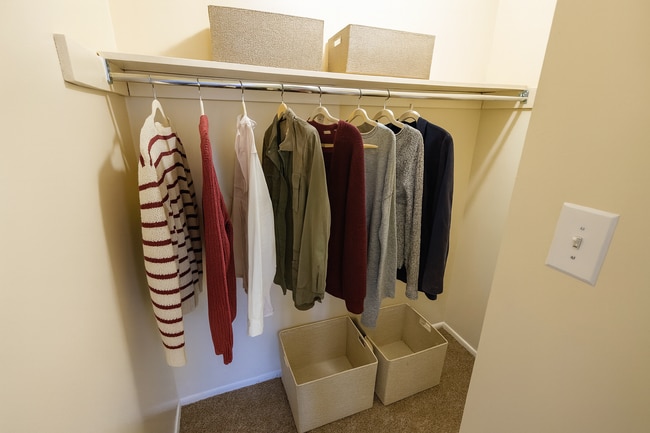 Delaire Landing Closet