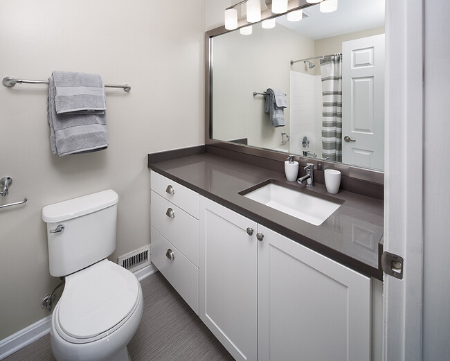 Bath with Quartz Countertops