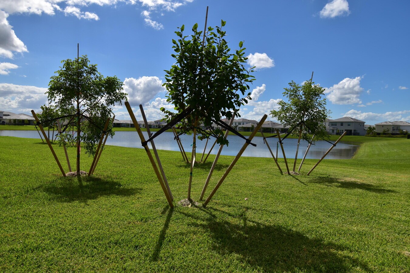 Photo - 5773 Aleppo Pne Pl