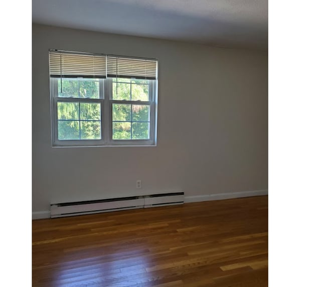 Photo - 45 Elmwood Park