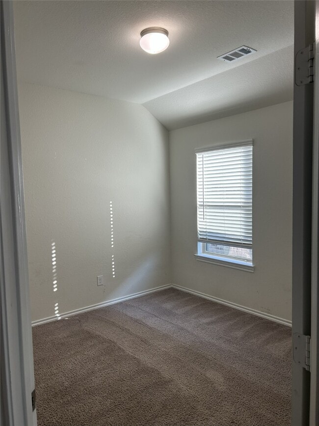 Photo - 25623 Bottlebrush Sedge St