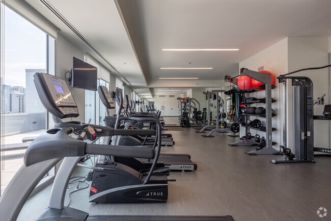 Gimnasio