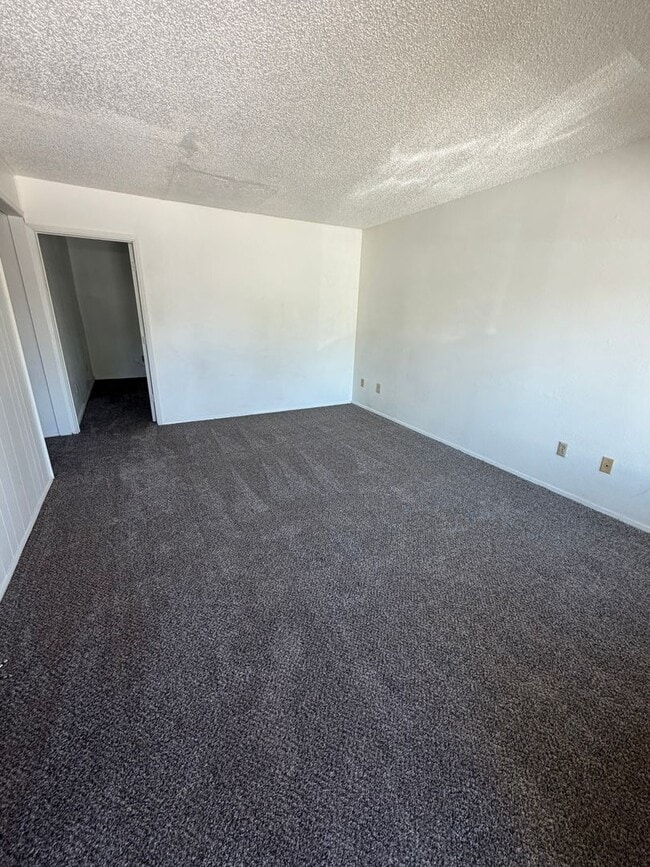Building Photo - Newly Renovated 2 Bedroom, 1 Bathroom Triplex - South Suburbs