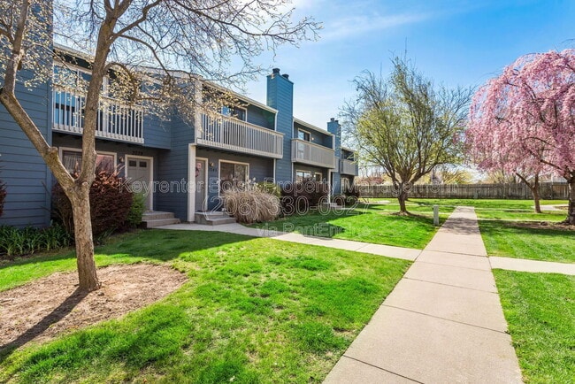 Photo - 3039 S Cantrell Ln