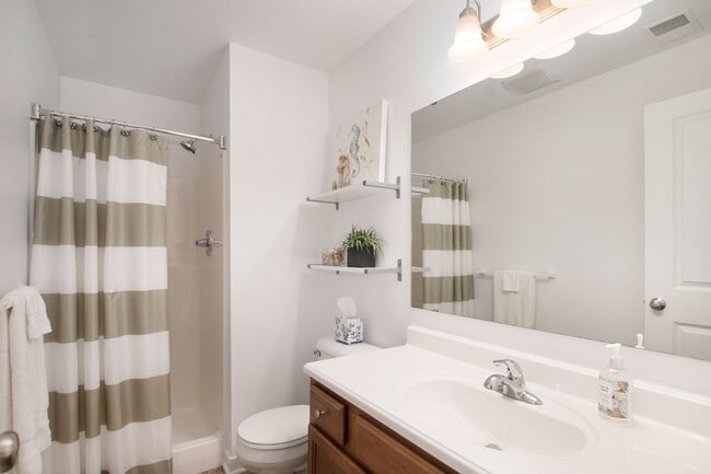 Lower Level Bathroom