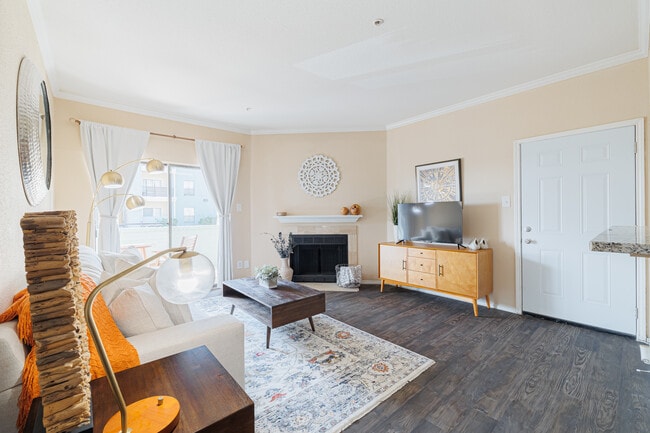 Photo - Pirates Landing