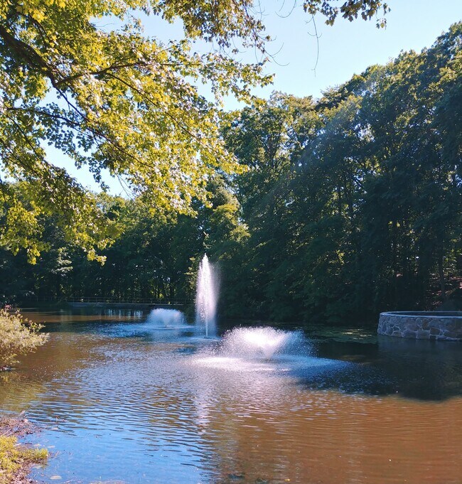 Building Photo - 50 Aiken St Unit 386