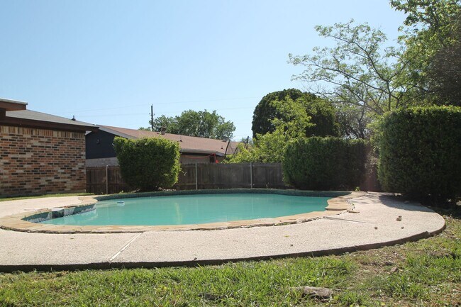 Photo - I Have A Pool!