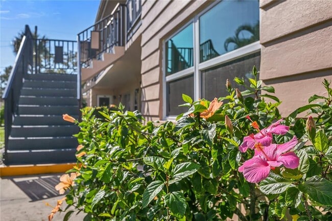 Photo - 216 36th Ave N Unit 202B